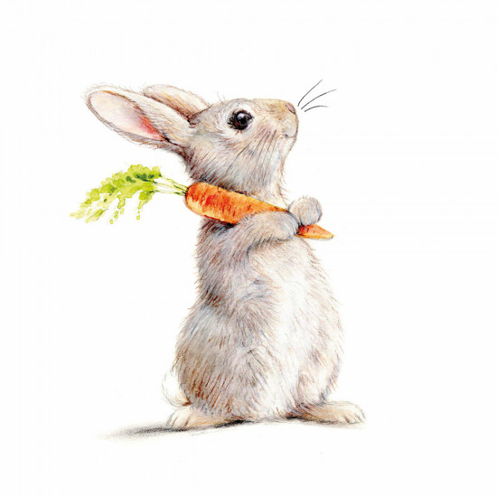 Rabbit & Carrot Napkin 33x33