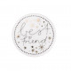Lucky coin display 72pcs (8 Designs) Dia:4cm